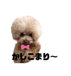 日常言葉♥わんこ組（個別スタンプ：9）