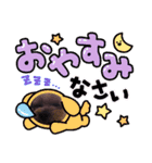 日常言葉♥わんこ組（個別スタンプ：13）