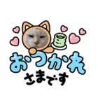 ころすけさん（個別スタンプ：7）
