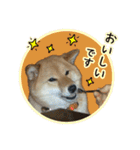 ゆっちゃん01（個別スタンプ：3）
