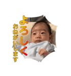 主に家族で使用する用の息子スタンプ（個別スタンプ：12）