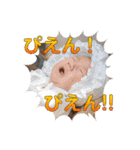 主に家族で使用する用の息子スタンプ（個別スタンプ：18）