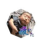 主に家族で使用する用の息子スタンプ（個別スタンプ：24）