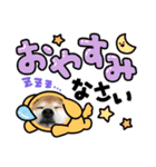 柴犬 ダイキチくん（個別スタンプ：4）