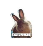 おめろさん（個別スタンプ：14）