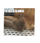 おめろさん（個別スタンプ：15）
