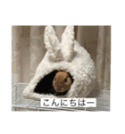 おめろさん（個別スタンプ：24）