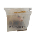 ハリネズミの尚希（個別スタンプ：1）