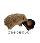 ハリネズミの尚希（個別スタンプ：3）
