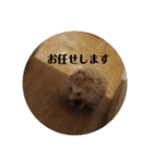 ハリネズミの尚希（個別スタンプ：10）
