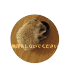 ハリネズミの尚希（個別スタンプ：13）