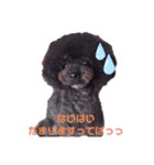 汗かきワンコ組（個別スタンプ：2）