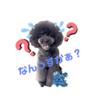 汗かきワンコ組（個別スタンプ：4）