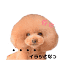汗かきワンコ組（個別スタンプ：7）