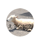 何とな仕事で考えそうな事（個別スタンプ：2）