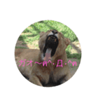 何とな仕事で考えそうな事（個別スタンプ：3）