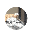 何とな仕事で考えそうな事（個別スタンプ：4）