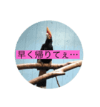何とな仕事で考えそうな事（個別スタンプ：8）
