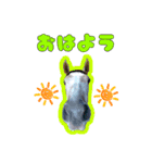 きゃわわ♡なリフレイムのすたんぷ【公認】（個別スタンプ：2）