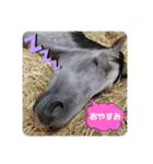 きゃわわ♡なリフレイムのすたんぷ【公認】（個別スタンプ：3）