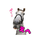 きゃわわ♡なリフレイムのすたんぷ【公認】（個別スタンプ：5）