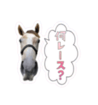 きゃわわ♡なリフレイムのすたんぷ【公認】（個別スタンプ：18）