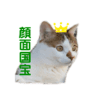 僕はまるくんです。（個別スタンプ：1）