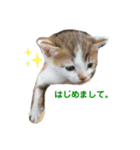 僕はまるくんです。（個別スタンプ：2）