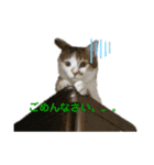 僕はまるくんです。（個別スタンプ：4）
