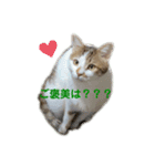僕はまるくんです。（個別スタンプ：6）