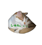 僕はまるくんです。（個別スタンプ：10）