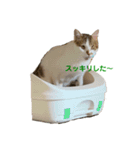 僕はまるくんです。（個別スタンプ：11）