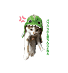 僕はまるくんです。（個別スタンプ：15）