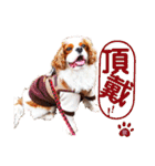 キャバリア♂ライト_毎日ゆるカワ漢字ver.（個別スタンプ：21）