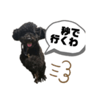 黒プーのもずく（個別スタンプ：3）