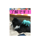 ハチ猫ジムくん（個別スタンプ：8）