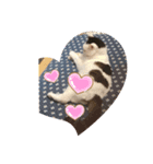 ふわふわミミ（個別スタンプ：5）