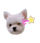 ☆ルー☆ seasonばぶばぶ期（個別スタンプ：1）