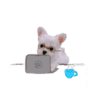 ☆ルー☆ seasonばぶばぶ期（個別スタンプ：16）