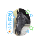 サトくん❣️（個別スタンプ：1）