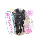 サトくん❣️（個別スタンプ：3）