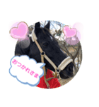 サトくん❣️（個別スタンプ：5）