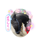 サトくん❣️（個別スタンプ：7）