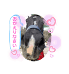 サトくん❣️（個別スタンプ：13）