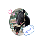 サトくん❣️（個別スタンプ：14）
