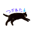 くっきーとさすけ（個別スタンプ：1）