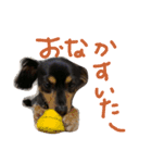 くっきーとさすけ（個別スタンプ：14）