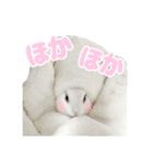 うさぎのしらすちゃん！（個別スタンプ：16）