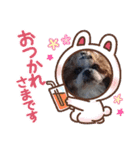 ガチャ子のWanWan シリーズ2（個別スタンプ：20）