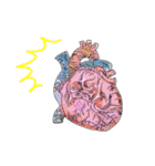 ヌコと心臓（個別スタンプ：12）